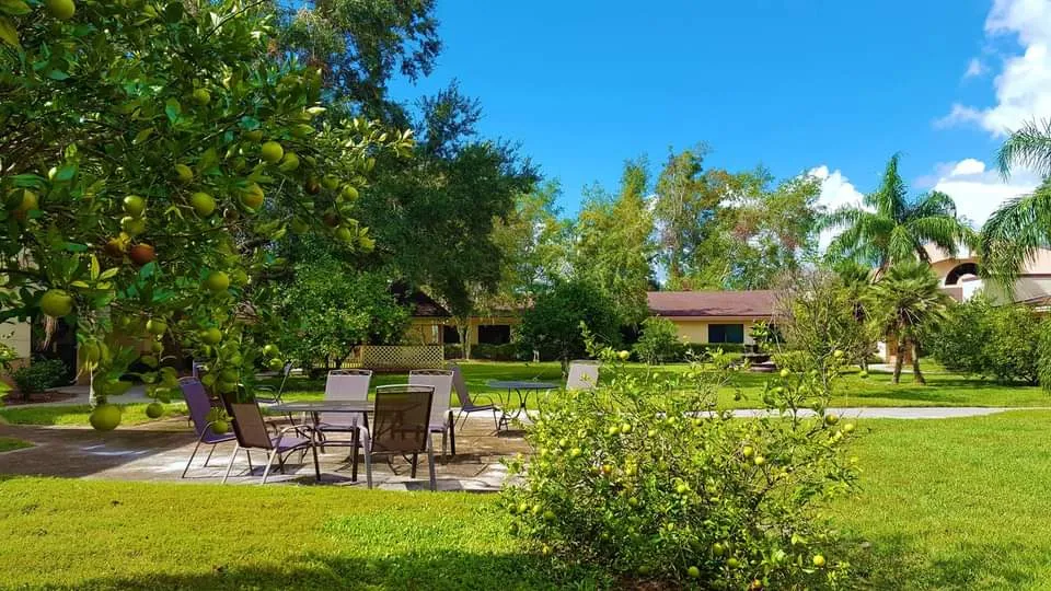 FB_IMG_1600833343368 (1)